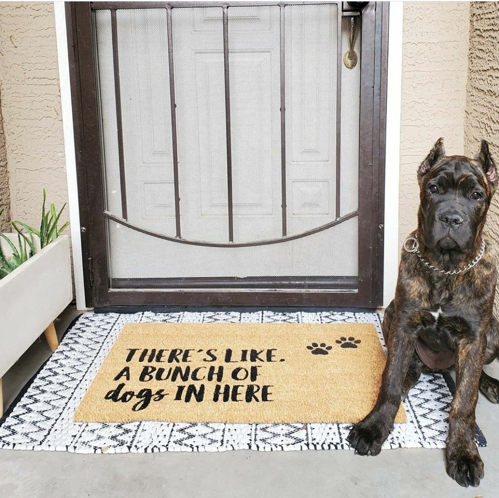 Doormat